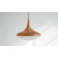 IQ3185 CALYX